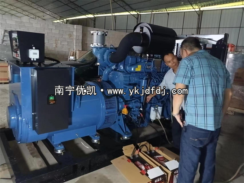 2023年6月27日，越南項目出口500kw玉柴發(fā)電機組并試機